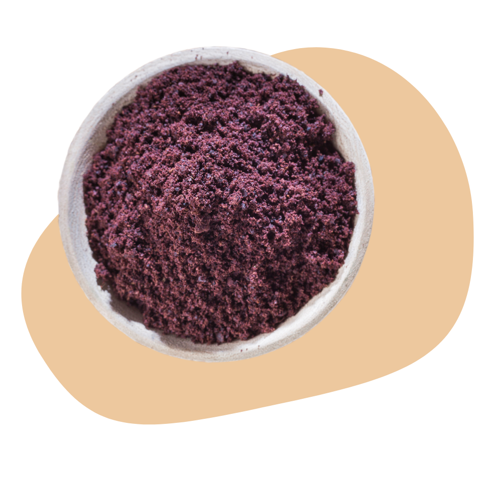 ELDERBERRY POWDER