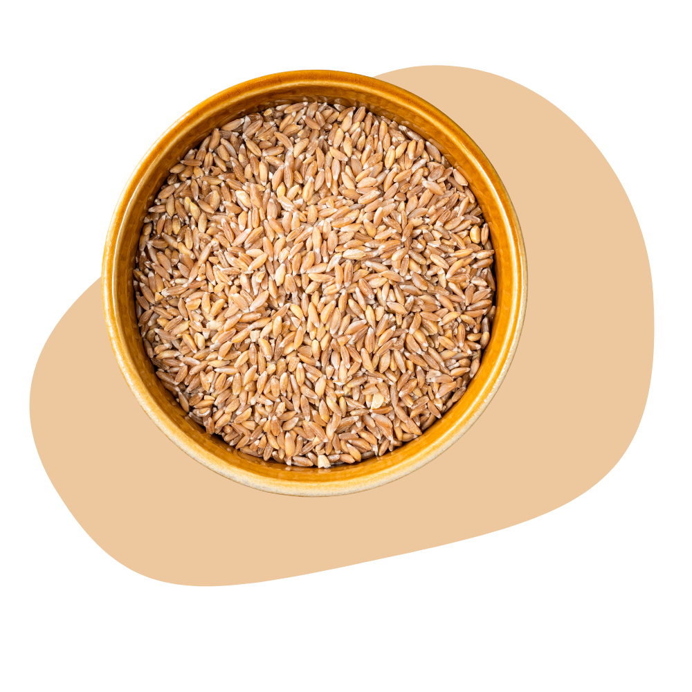 FARRO