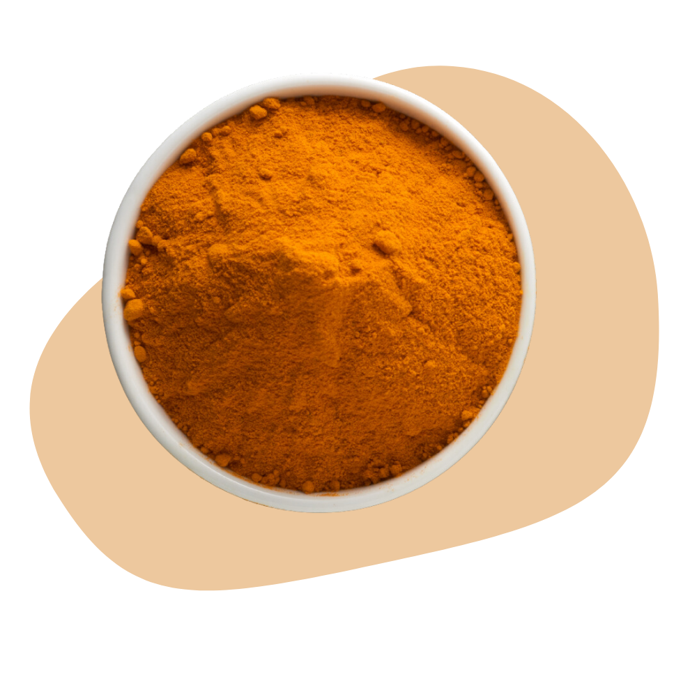 CAJUN SPICE