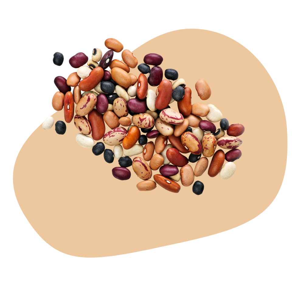 CHILI BEAN MIX