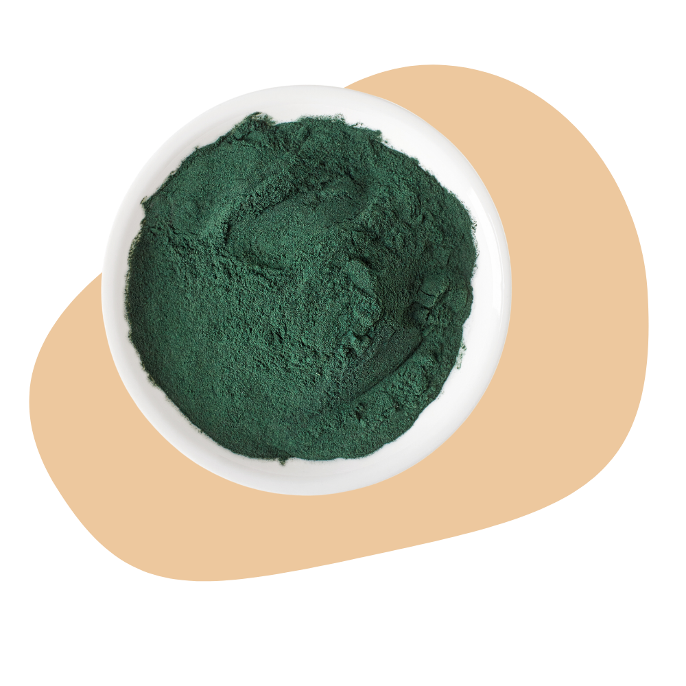 CHLORELLA POWDER
