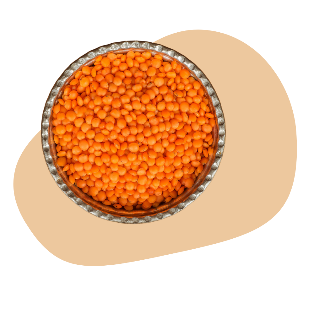 RED LENTILS