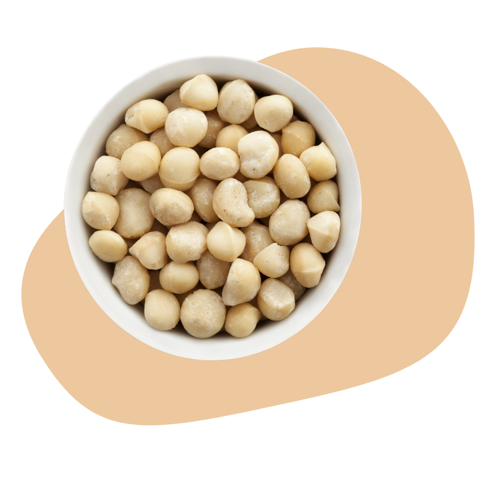 MACADAMIA NUTS
