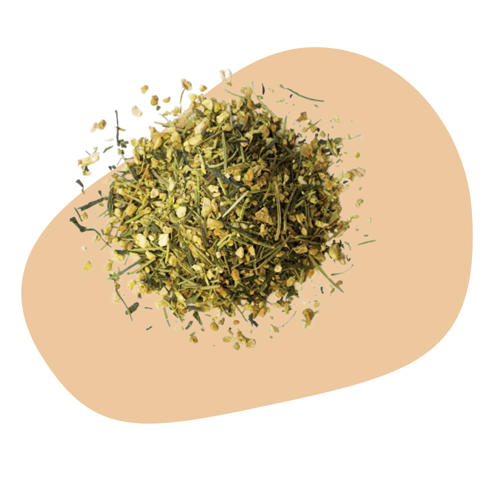 MATCHA GINGER BUZZ