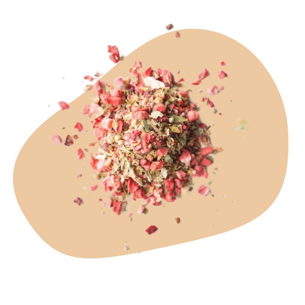 PATAGONIA WILD GUAVA TEA