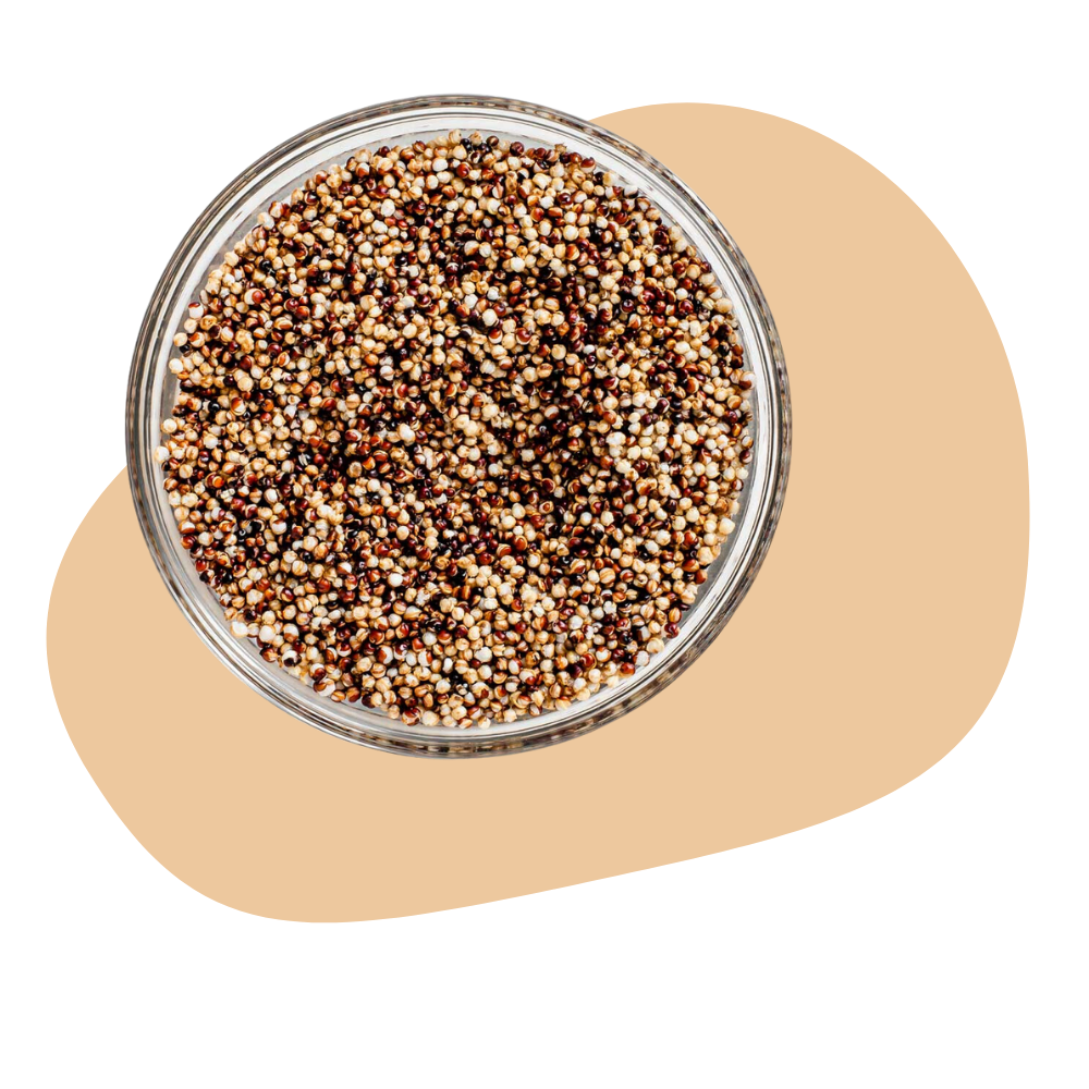QUINOA, MULTICOLOR
