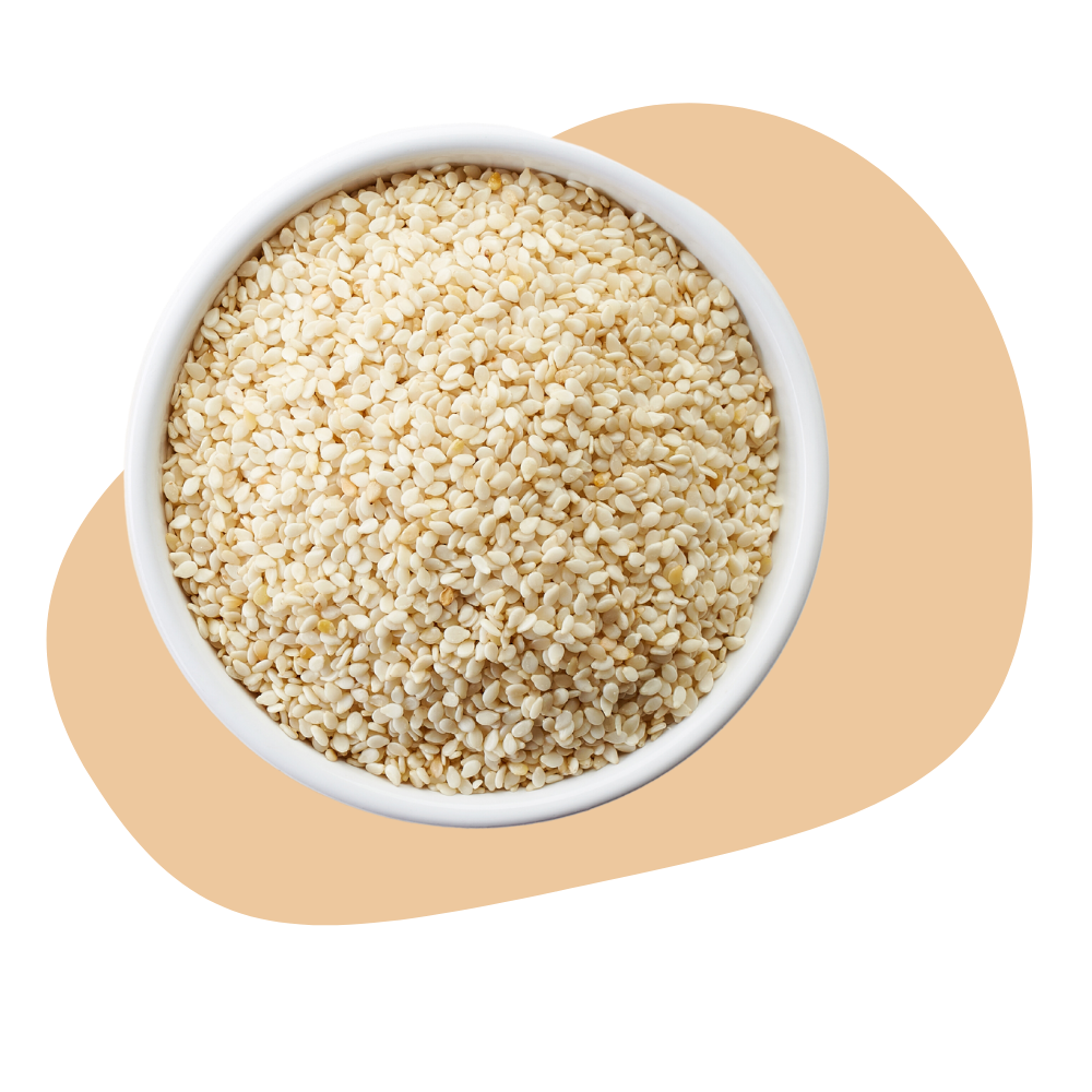 SESAME SEEDS