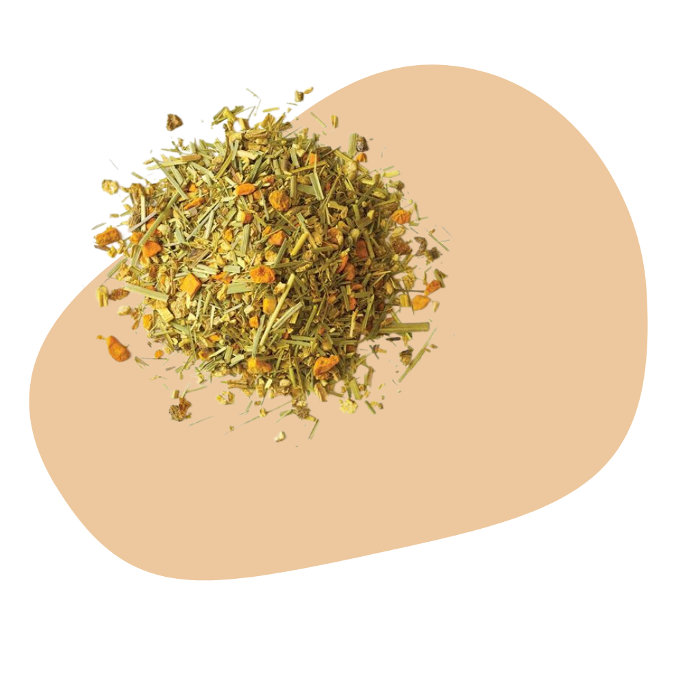 TURMERIC GINGER TEA