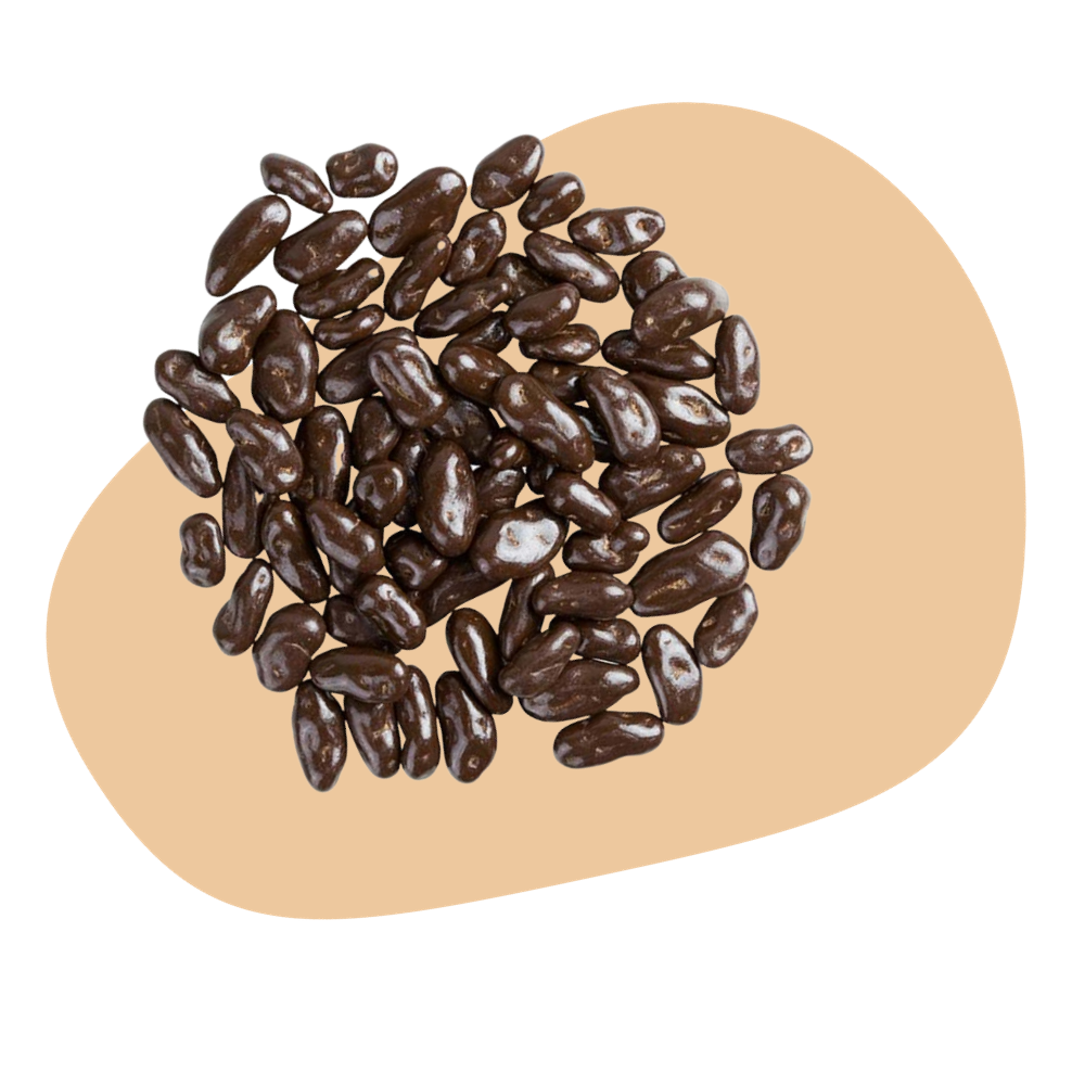 DARK CHOCOLATE GOJI BERRIES