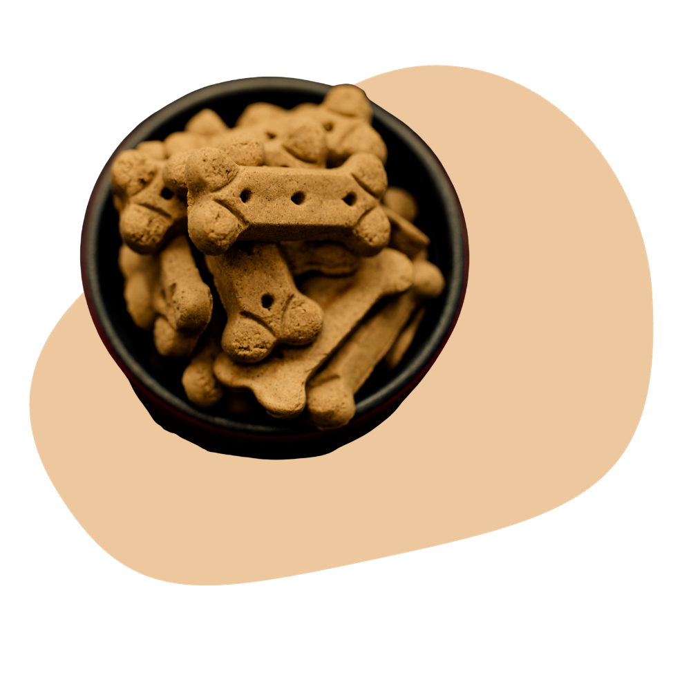 DOG TREATS, BACON
