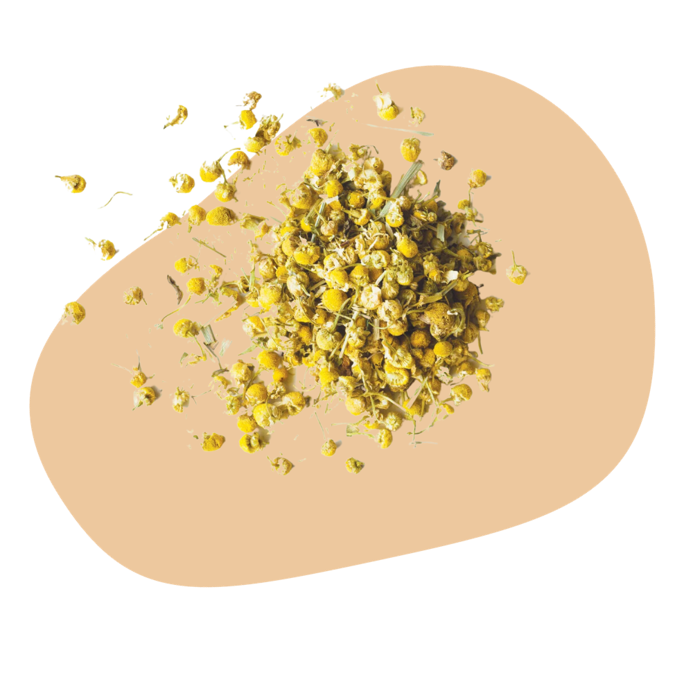 Chamomile