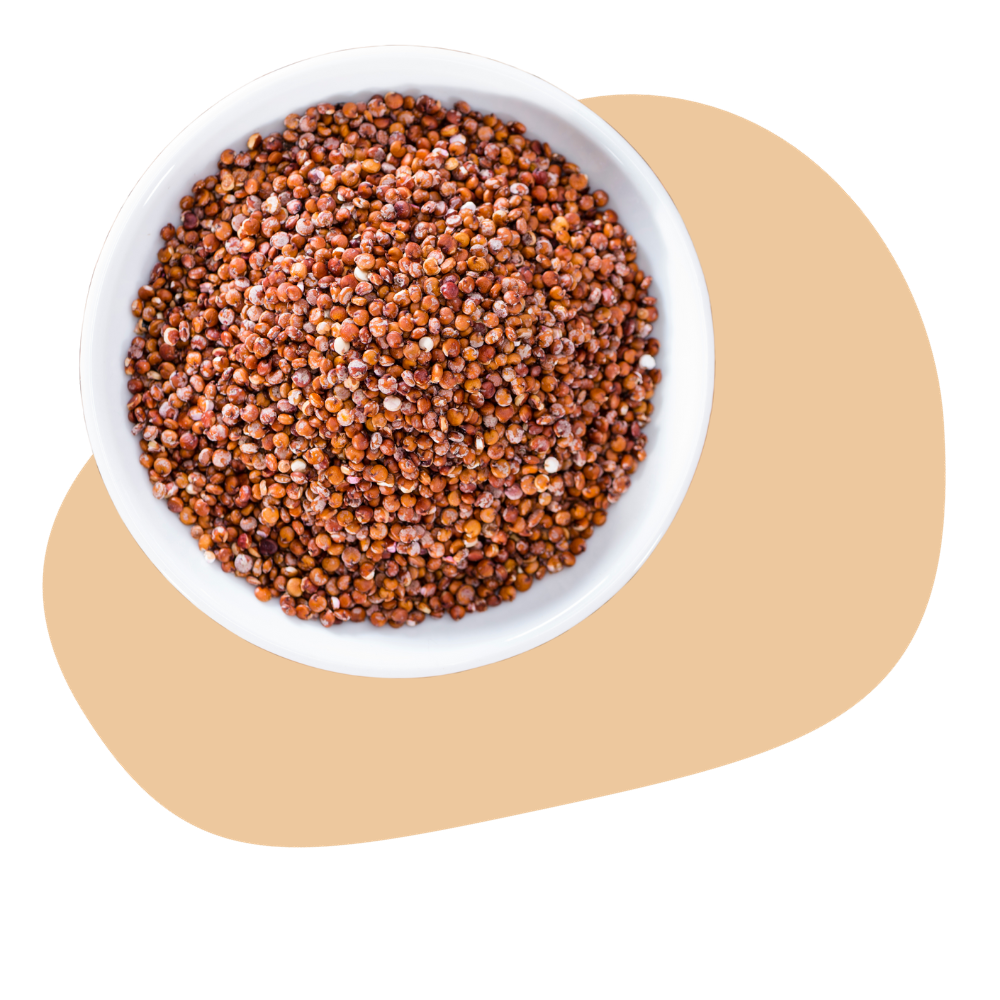 QUINOA, RED