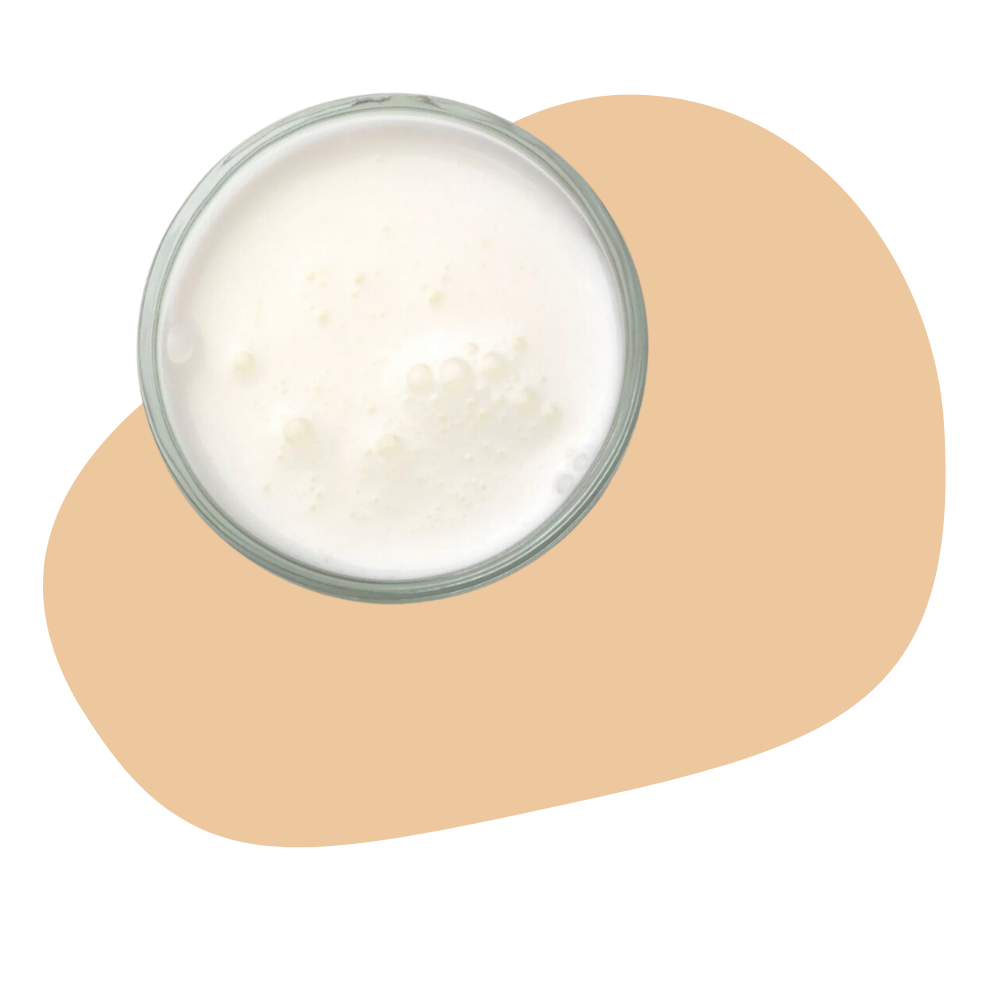 Leave In Conditioner &#8211; Unscented
